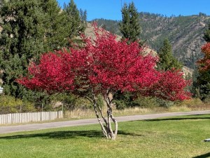 Pictures | Town of Superior Montana