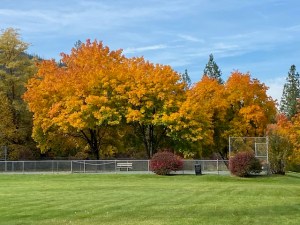 Pictures | Town of Superior Montana