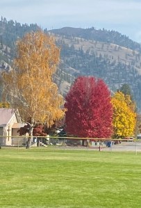 Pictures | Town of Superior Montana